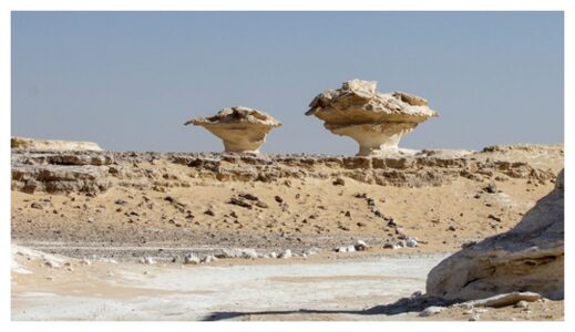 ardangs in Egypt