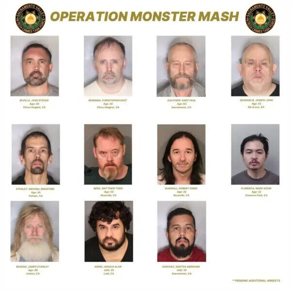 Los detectives del Grupo Especial de Delitos Hi-Tech del Valle de Sacramento