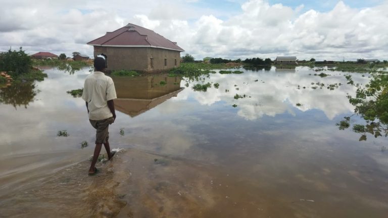 Floods in Elwak, Mandera County, Kenya, November 2023.