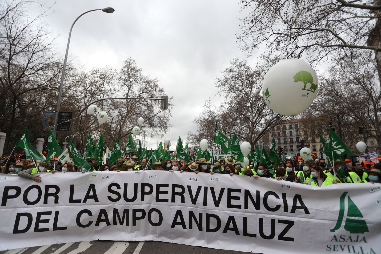 Asaja en la manifestación por la defensa del campo en Madrid