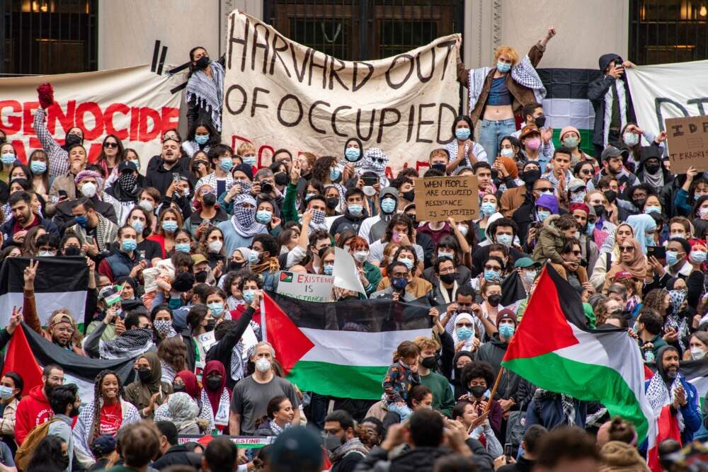 protestations havard palestiniens
