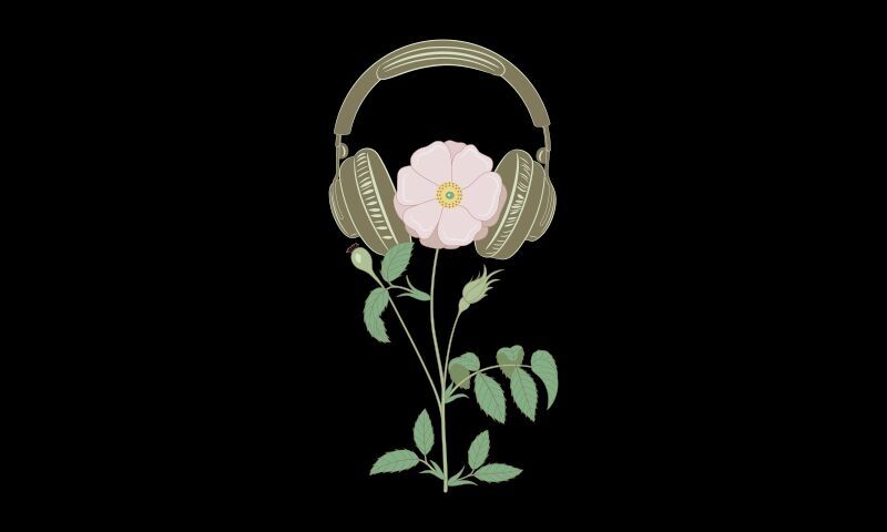flower headphones graphic plant hearing
