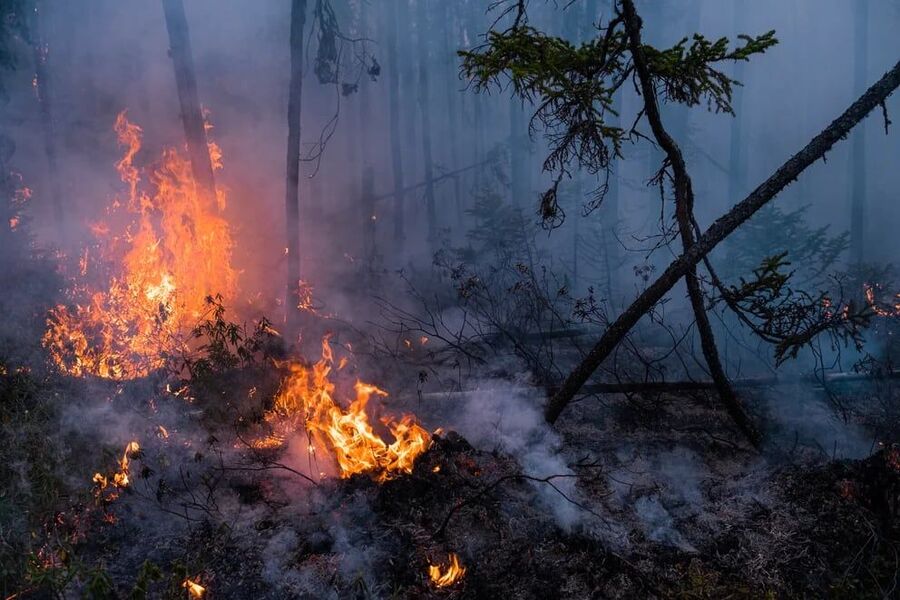 La temporada de incendios forestales en Canadá