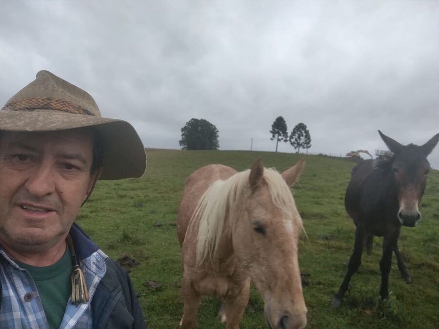 Clic para aumentar caballos brasil