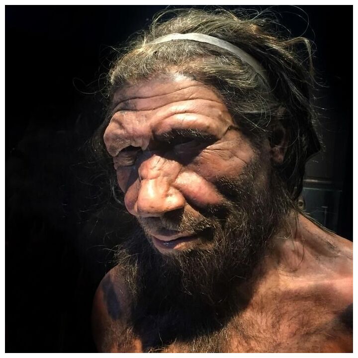 Clic para aumentar Neanderthal male