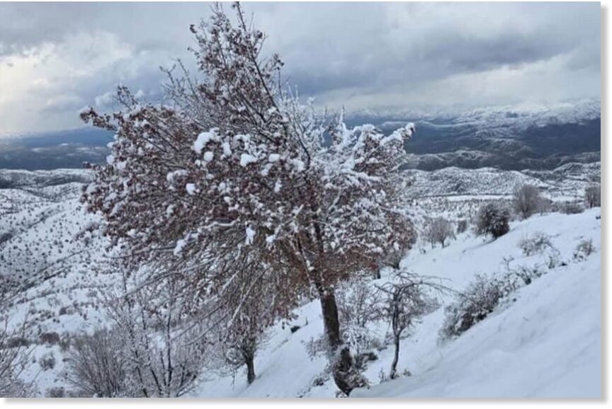 Snow covering large areas in Iraq