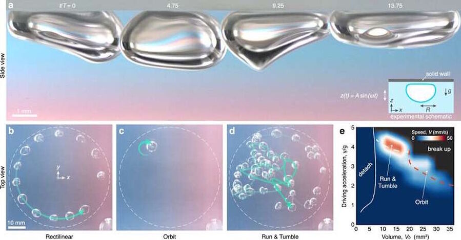bubbles fluid dynamics physics