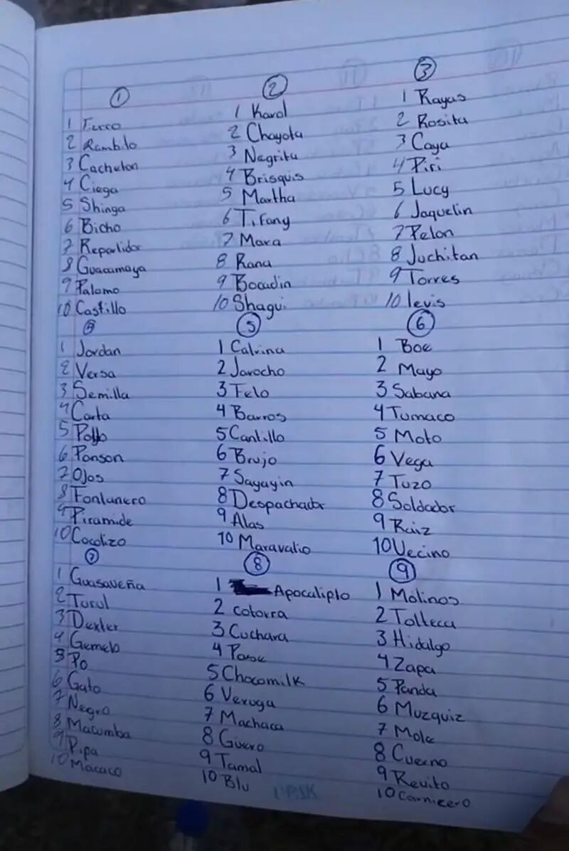 Pie de foto, Los buscadores encontraron varias listas con sobrenombres de posibles víctimas.