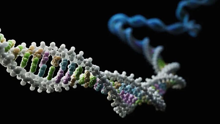 Clic para aumentar dna epigentic changes