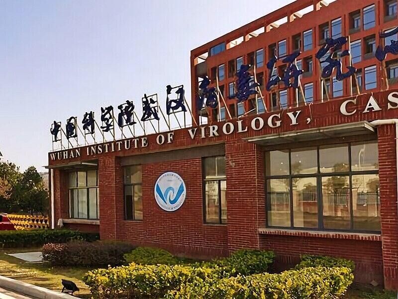 wuhan institute virology
