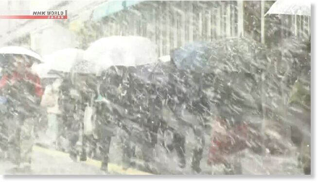 Snow falls across Japan, including central Tokyo