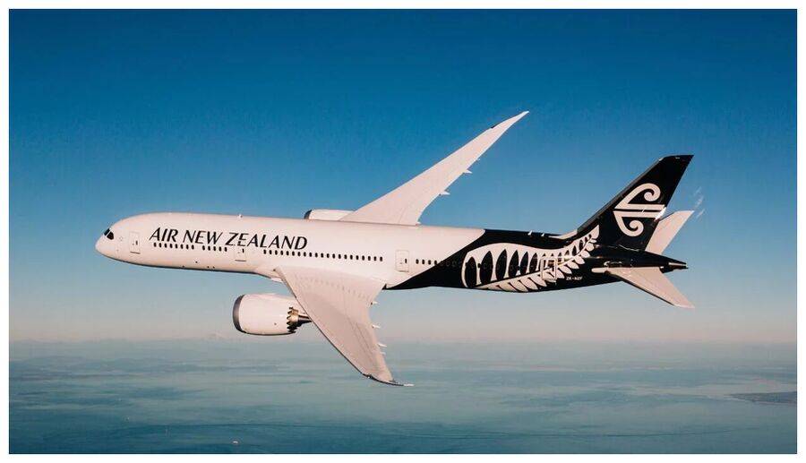 Clic para aumentar AIrNZ 787