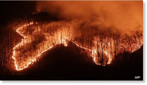 Clic para aumentar Over 6,700 firefighters have been deployed to battle South Korea's wildfire.
