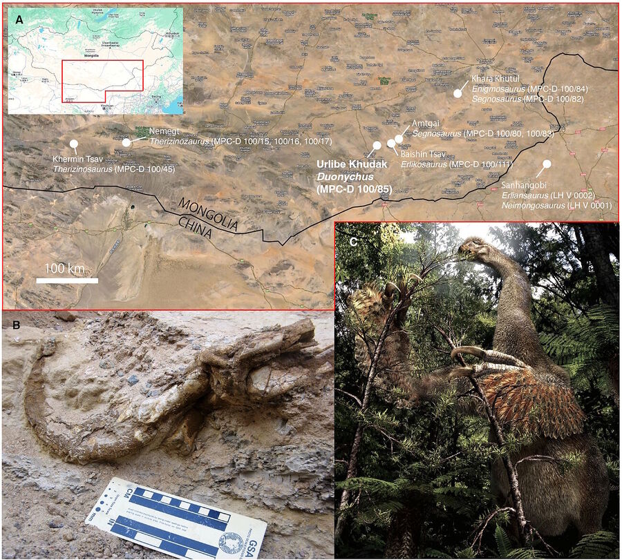 Clic para aumentar location map dinosaur claws mongolia