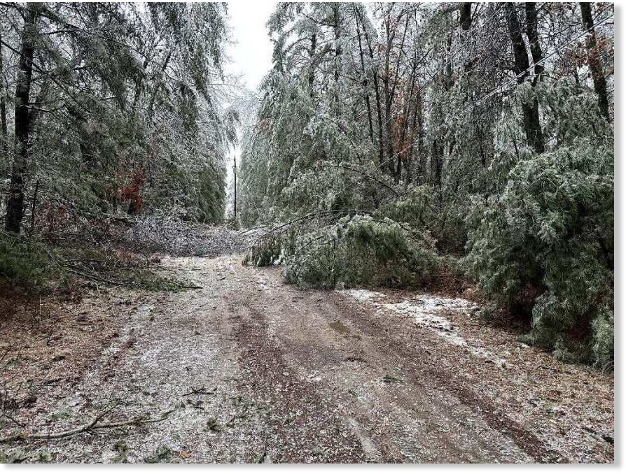 Damage caused by a major ice storm in the Grayling area on March 30, 2025.