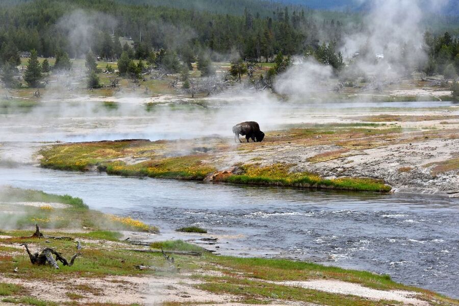 yellowstone