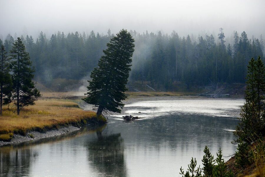 yellowstone