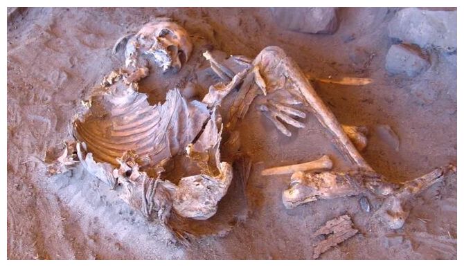 Clic para aumentar Naturally mummified human remains