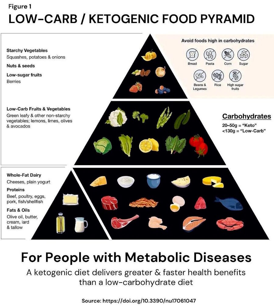 Clic para aumentar new food pyramid keto meat good