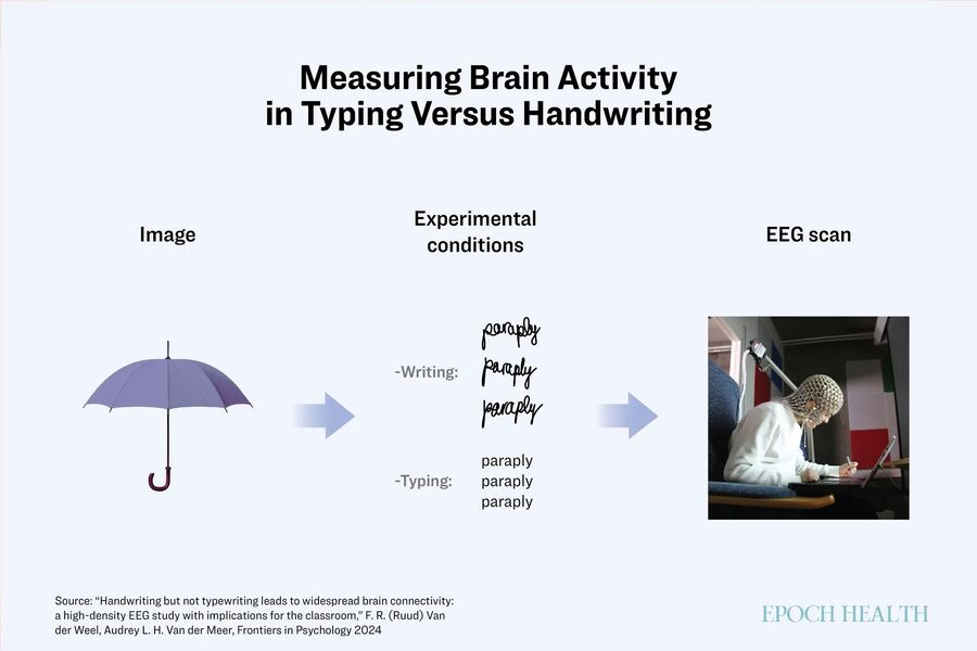 Clic para aumentar Brain activity and hand writing