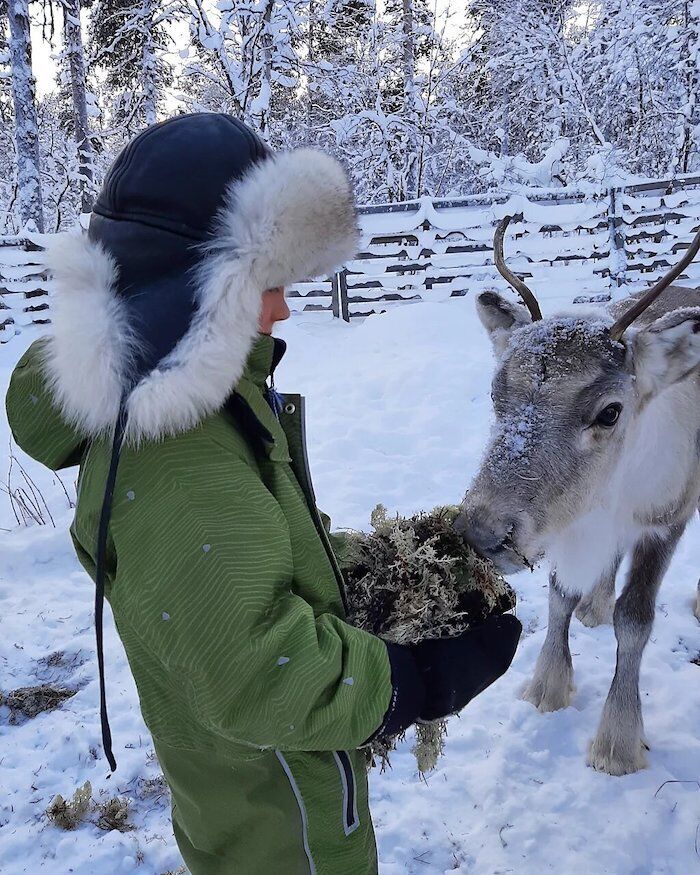 Clic para aumentar sami reindeer child