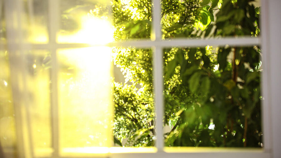 Sun light