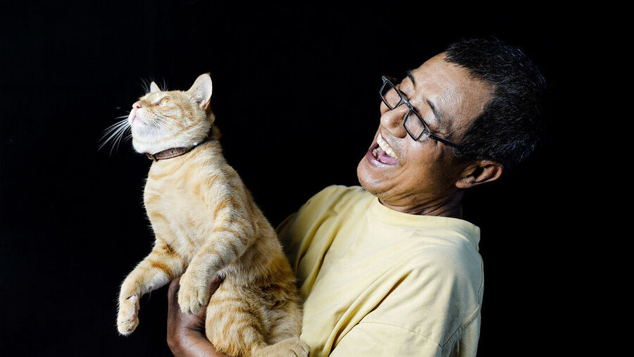 Cats