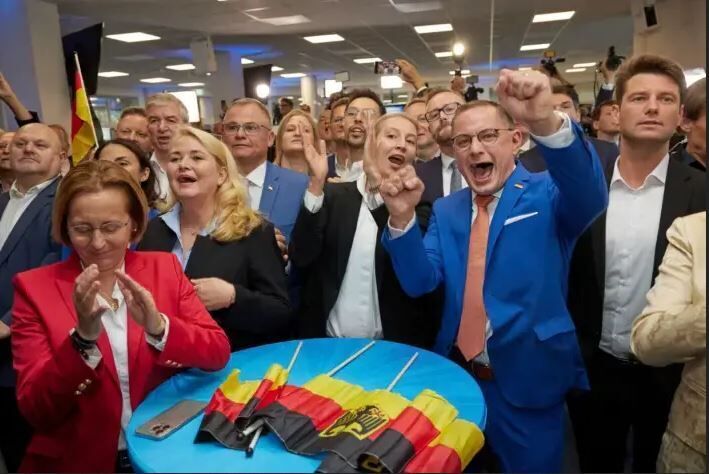 AfD alemania