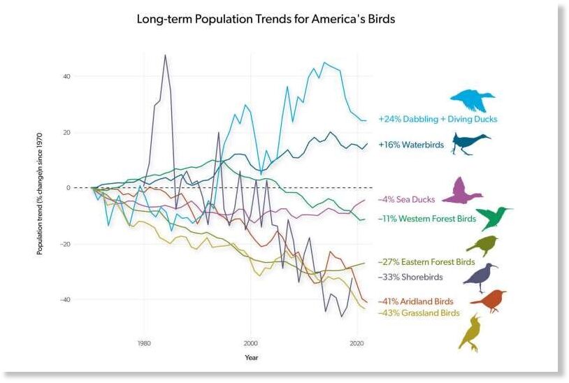 Long-term population trends for America's birds. Credit: State of the Birds long-term population trends