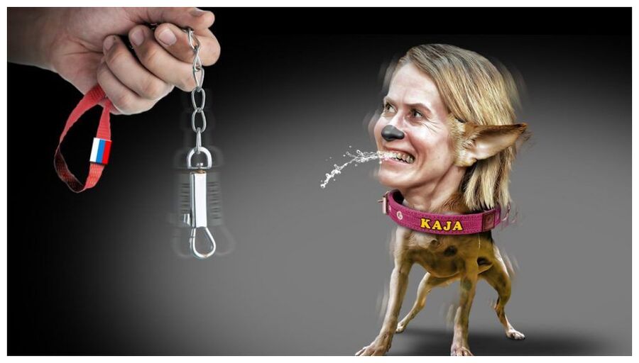 Clic para aumentar Kaja Kallas