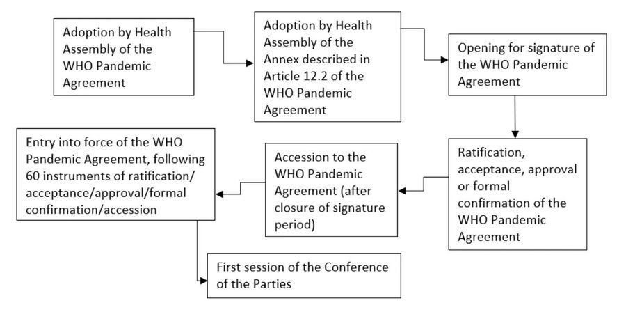 WHO Pandemic Agreement Roadmap Chart