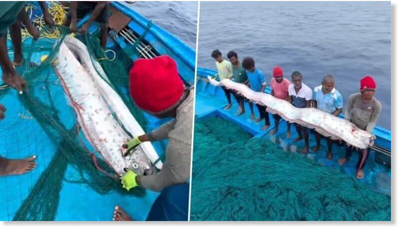 Doomsday Fish in Tamil Nadu