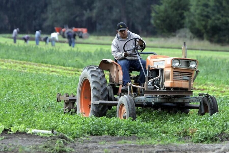 organic farmer