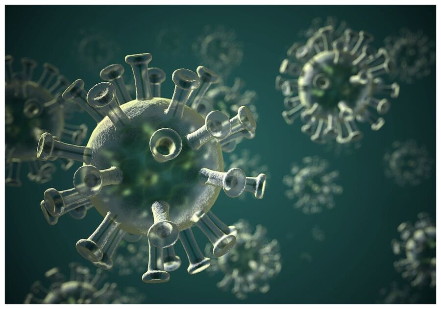 COVID-19 virus.