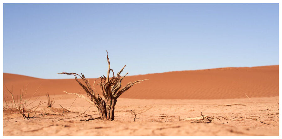 Clic para aumentar Extinction