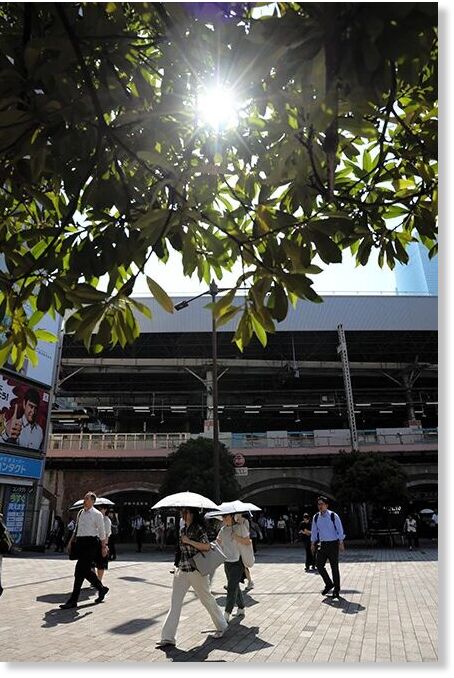 People try to ward off the heat in Tokyo’s Minato Ward on the morning of June 17.