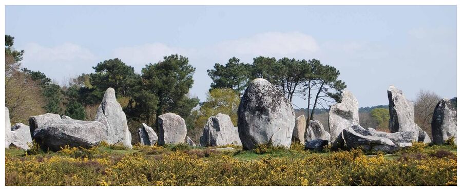 The Carnac stones