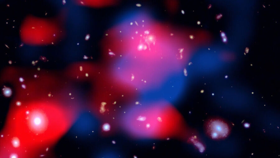 galaxias