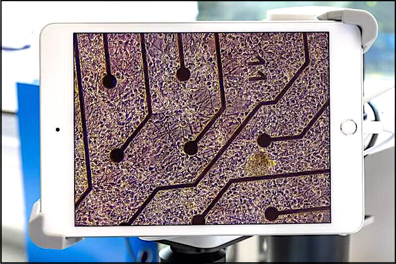 PUrple board w holes