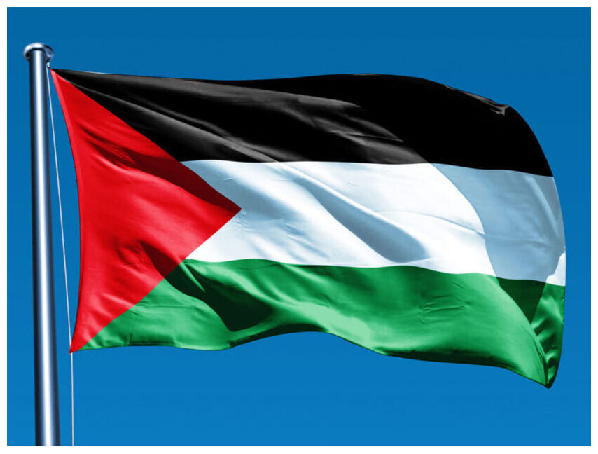 Palestine Flag