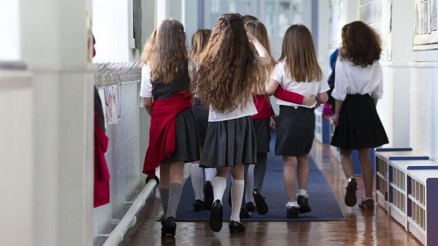 Faldas school skirt