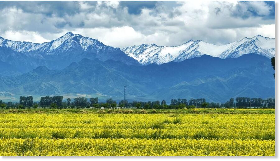 The picturesque scenery under the Qilian Mountains after the rain presents a scene of unparalleled beauty.