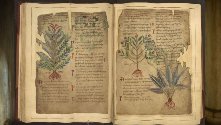 medieval manuscripts