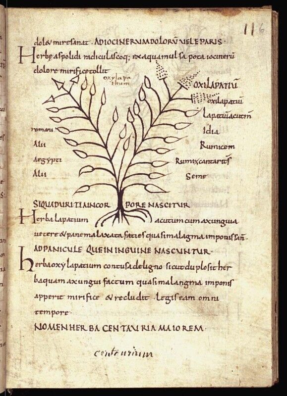 Clic para aumentar medieval manuscripts