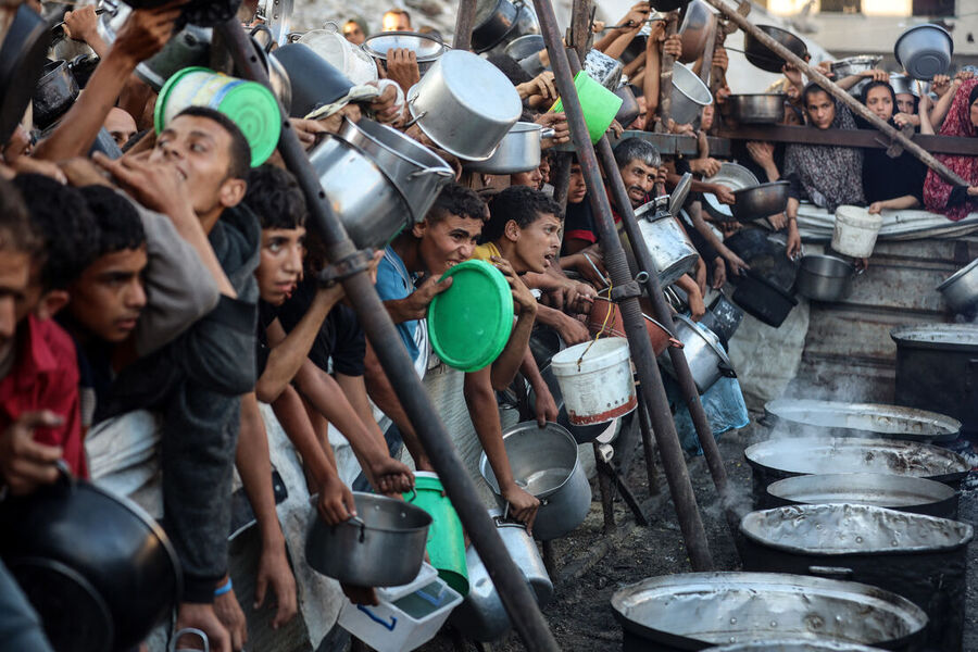 palestine hunger