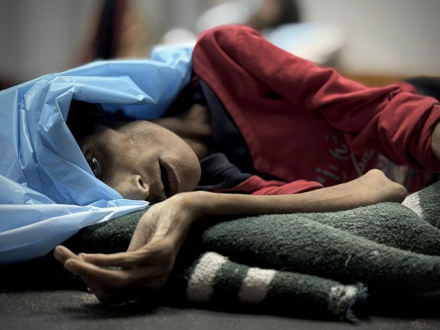 palestine hunger