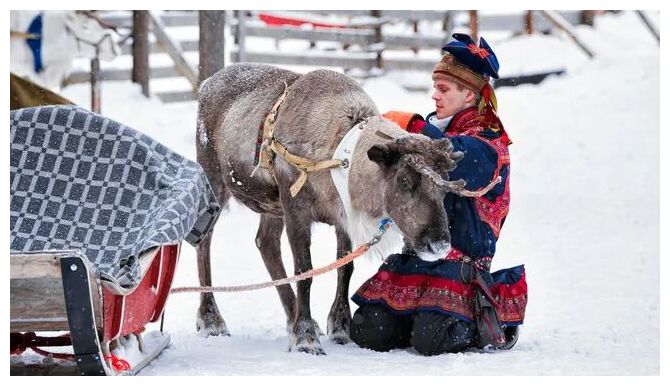 Saami with Reindeer