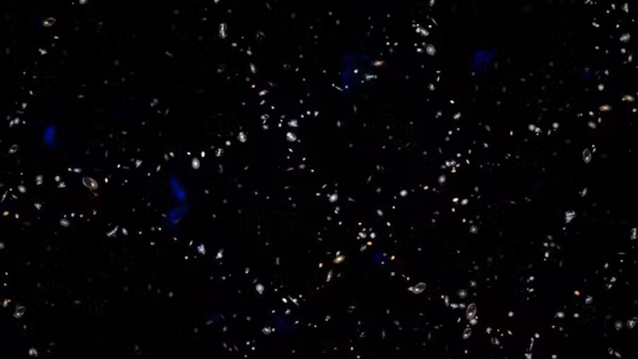 cosmic voids