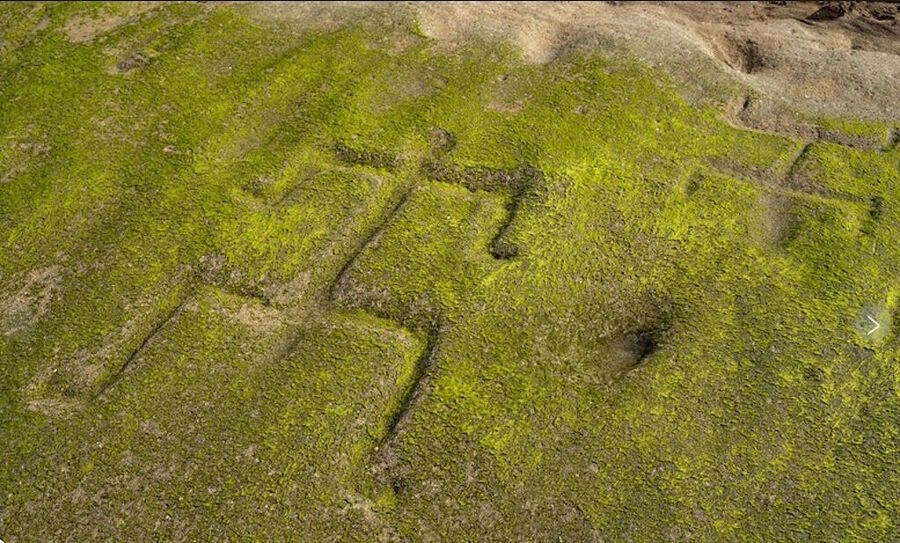 Hawaiian petroglyphs revealed tides