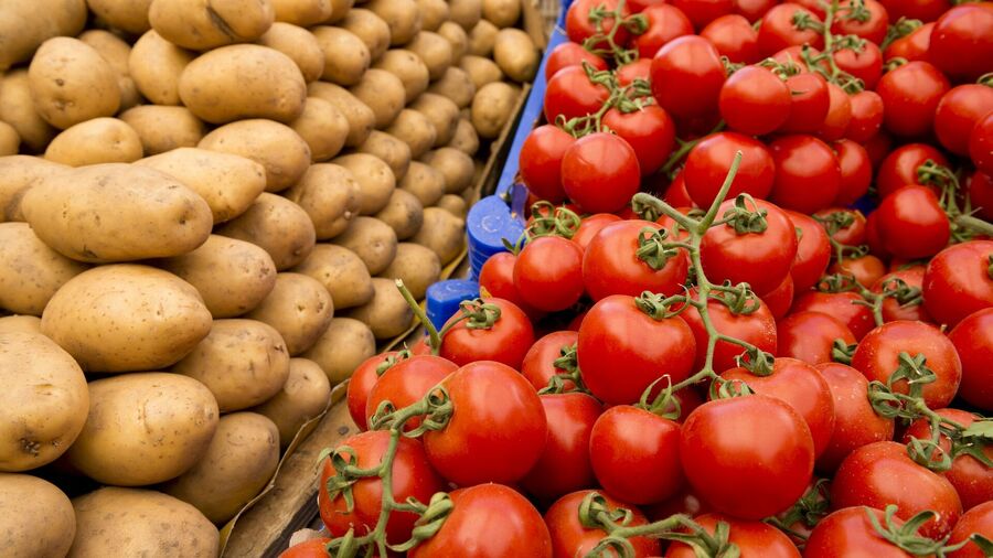 potatoes tomatoes ancient hybred